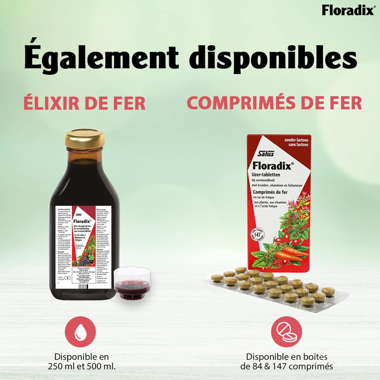 Suplemento Hierro en Fórmula Líquida Floradix