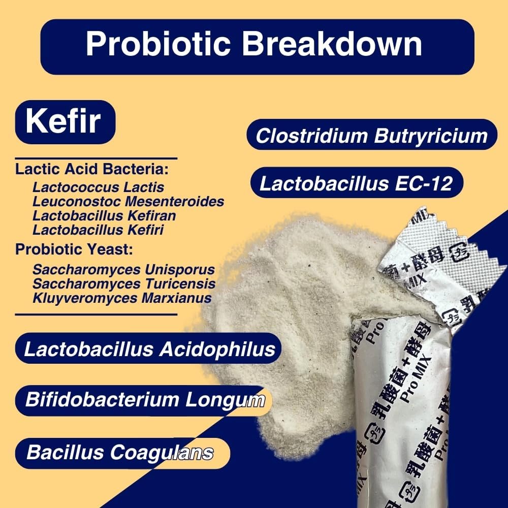 Pro MIX Kefir Suplemento - Probióticos para la salud intestinal