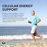 Source Naturals Life Force Múltiples Multivitamínicos diarios sin hierro de alta potencia Vitaminas, minerales, antioxidantes y nutrientes – Energía y refuerzo inmunológico – 30 tabletas