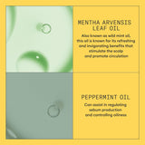 Acondicionador de Terapia Sistema 1 con Aceite de Menta
