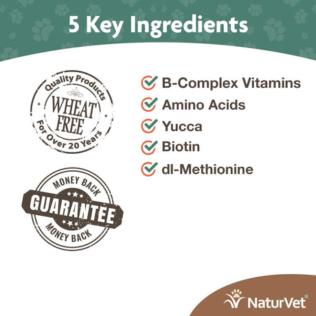 Vitaminas para perros Suplemento saludable para ayudar