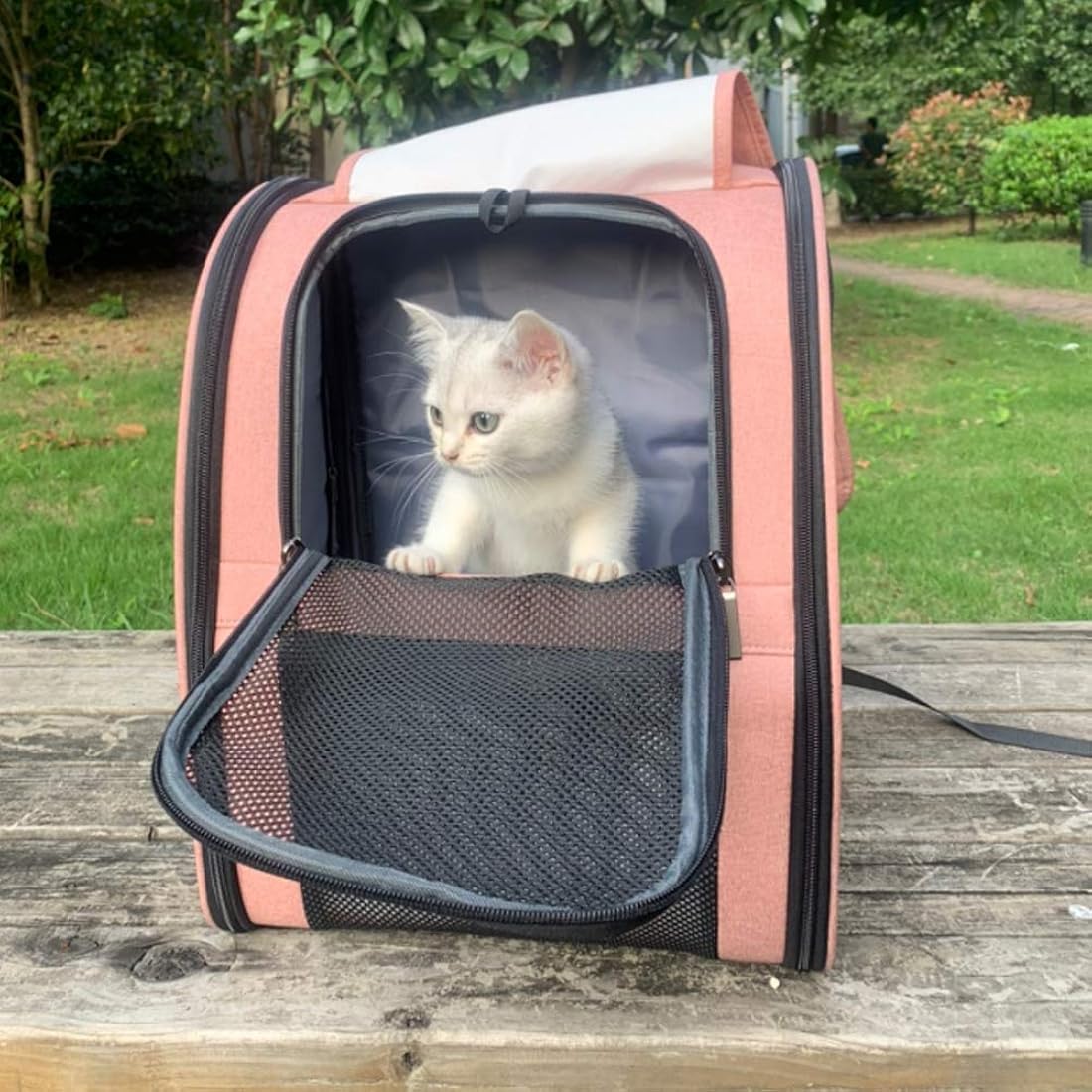 Mochilas para transporte de gato color rosado