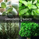 Semillas de Hierbas Italianas Gardeners Basics, 5 Variedades