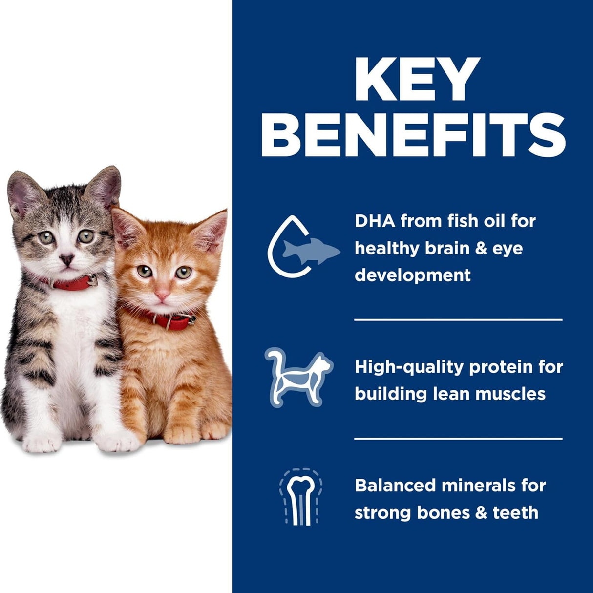 Hill&#39;s Science Diet Kitten - Alimento seco para gatos sin maíz, trigo o soja, receta de pollo, bolsa de 6 libras