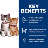 Hill&#39;s Science Diet Kitten - Alimento seco para gatos sin maíz, trigo o soja, receta de pollo, bolsa de 6 libras