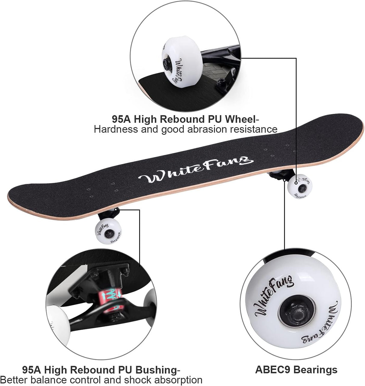 Patineta Completa 31 x 7.88, 7 Capas de Arce, Doble Kick