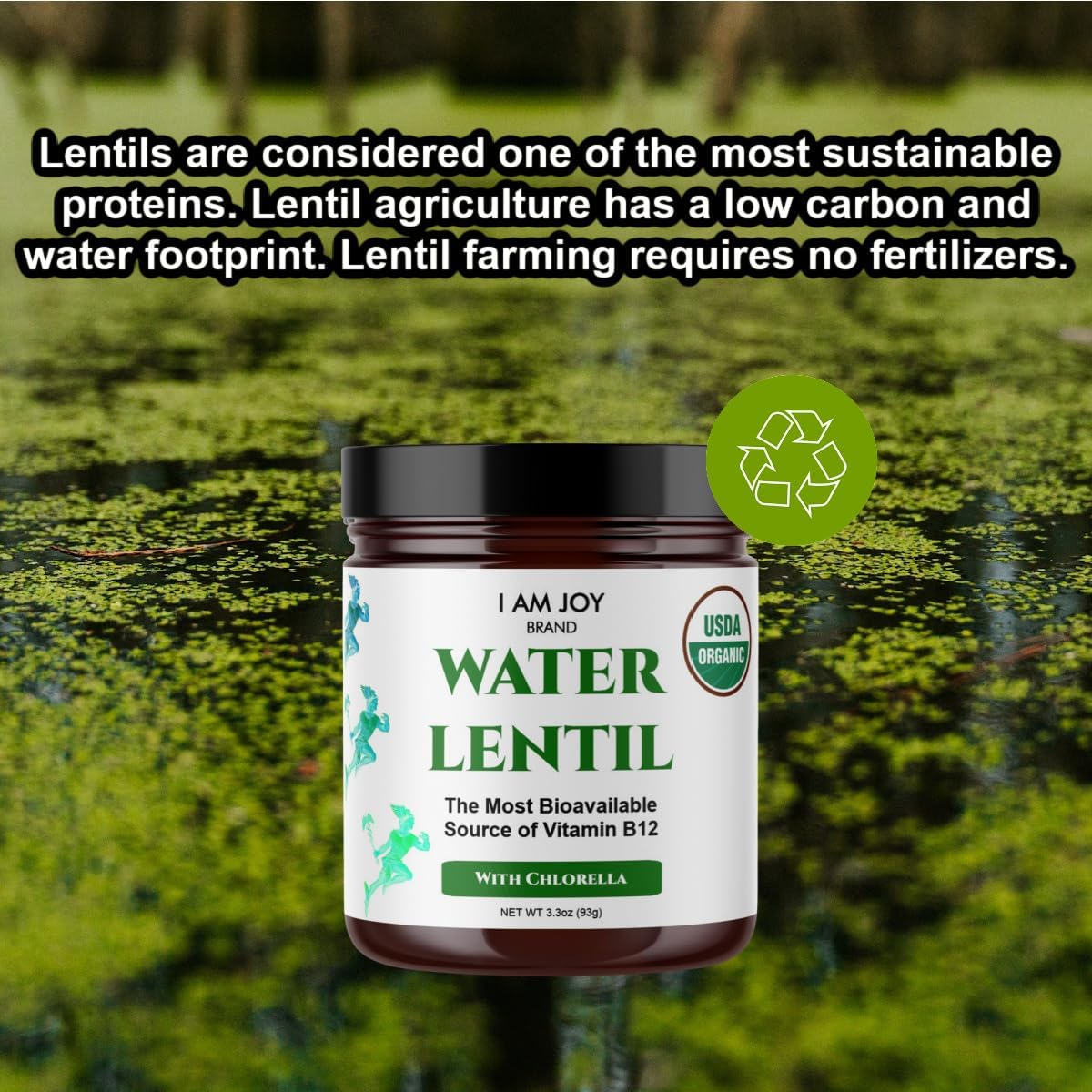 Polvo de proteína de lentejas de agua  de vitamina B12