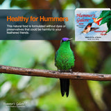 Comida o Néctar natural para colibríes saludables 4 paquetes