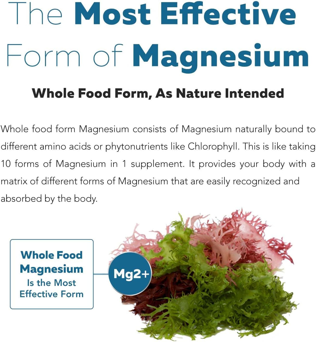 Magnesio Orgánico de Alimentos Integrales - 250 mg
