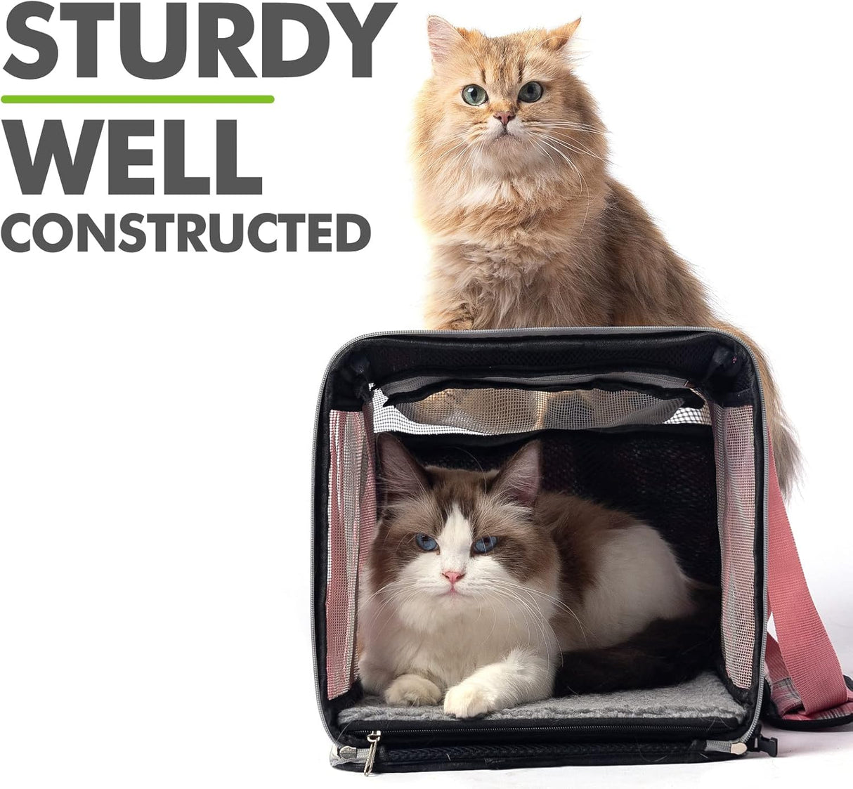 Transportadora de Gato EXPAWLORER, Suave, Aprobada, Grande