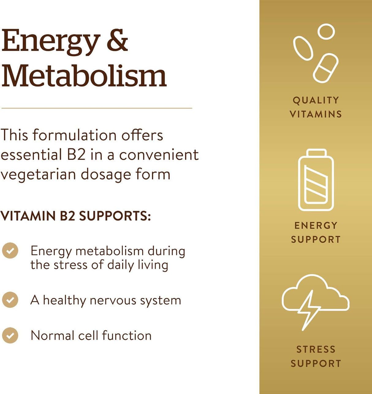 Suplemento Solgar Vitamina B2 (riboflavina) 100 mg 100 cáp