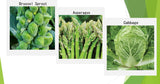 Semillas de Verduras de Invierno Orgánicas - 12 Variedades