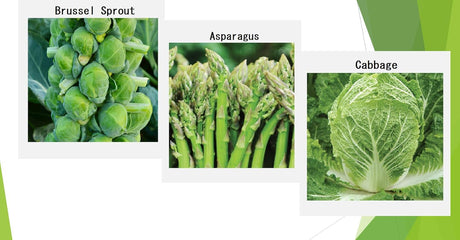 Semillas de Verduras de Invierno Orgánicas - 12 Variedades