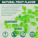 Gomitas de Musgo de Mar Sin Azúcar Fuerza Extra Irish Gel Supl. 2P