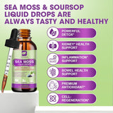 Sea Moss Líquido - Irish, Black Seed, Ashwagandha, Elderberry