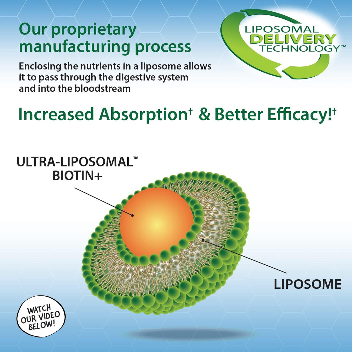 Suplementos Biotina ultra liposomal 10,000 mcg 30 dosis 10oz