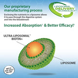 Suplementos Biotina ultra liposomal 10,000 mcg 30 dosis 10oz