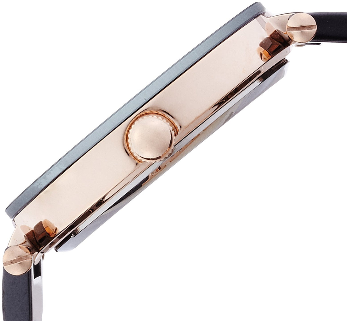 Reloj Anne Klein AK / 1018RGBK de diamantes para mujer,reloj