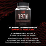Suplementos Alimenticios Píldoras monohidratadas de creatina