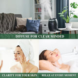 AceiteEsencial de Orégano MAYJAM, 100ml, Difusor, Gotero de Vidrio