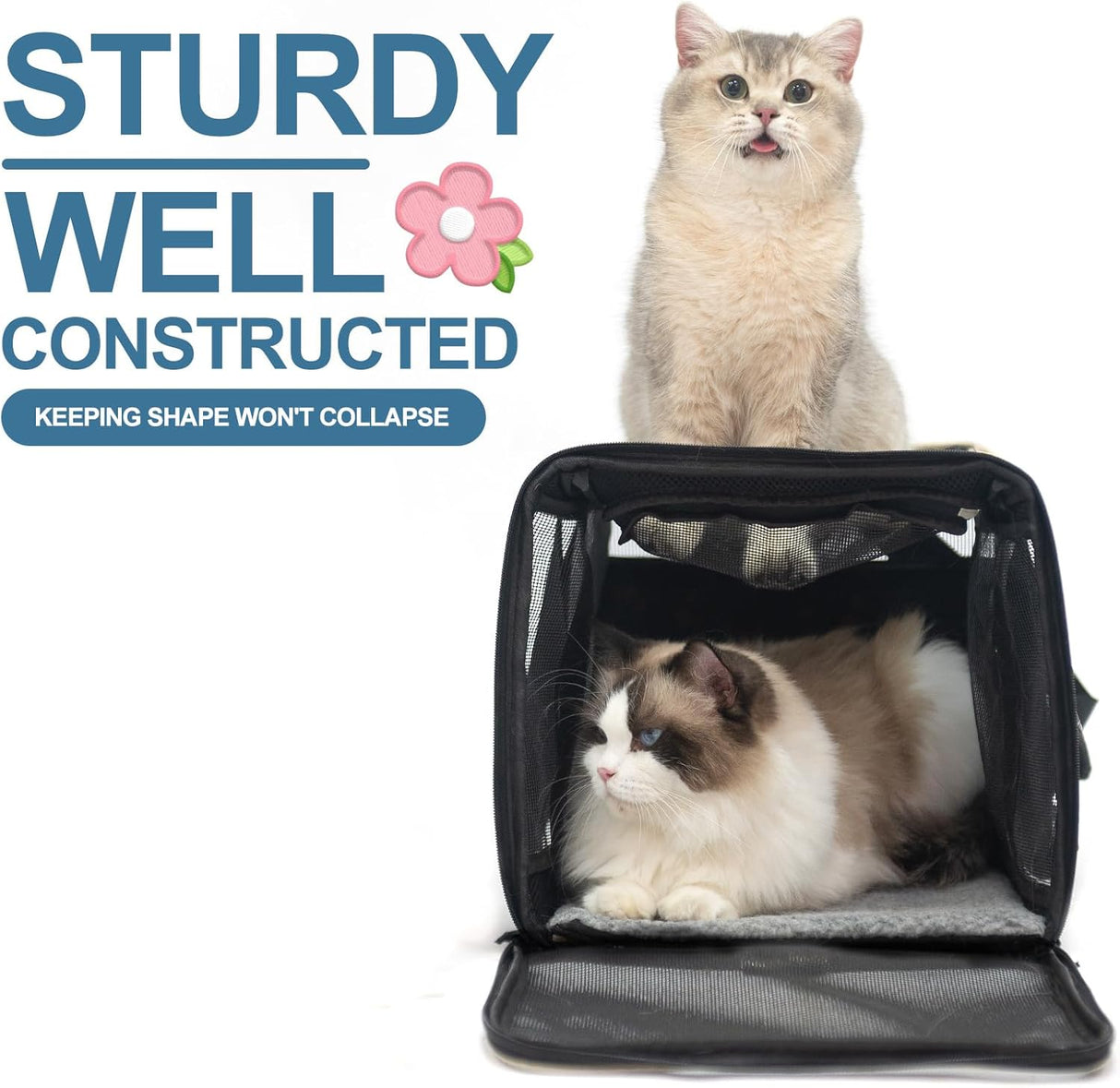 Transportín para Gatos EXPAWLORER, Grande, Aprobado Aerolínea