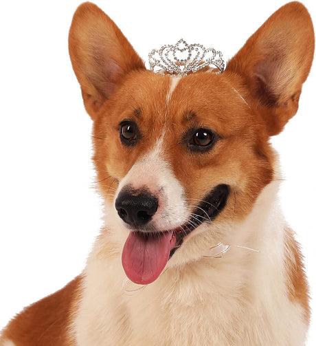 Disfraces para Perro talla única