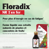 Suplemento Hierro en Fórmula Líquida Floradix