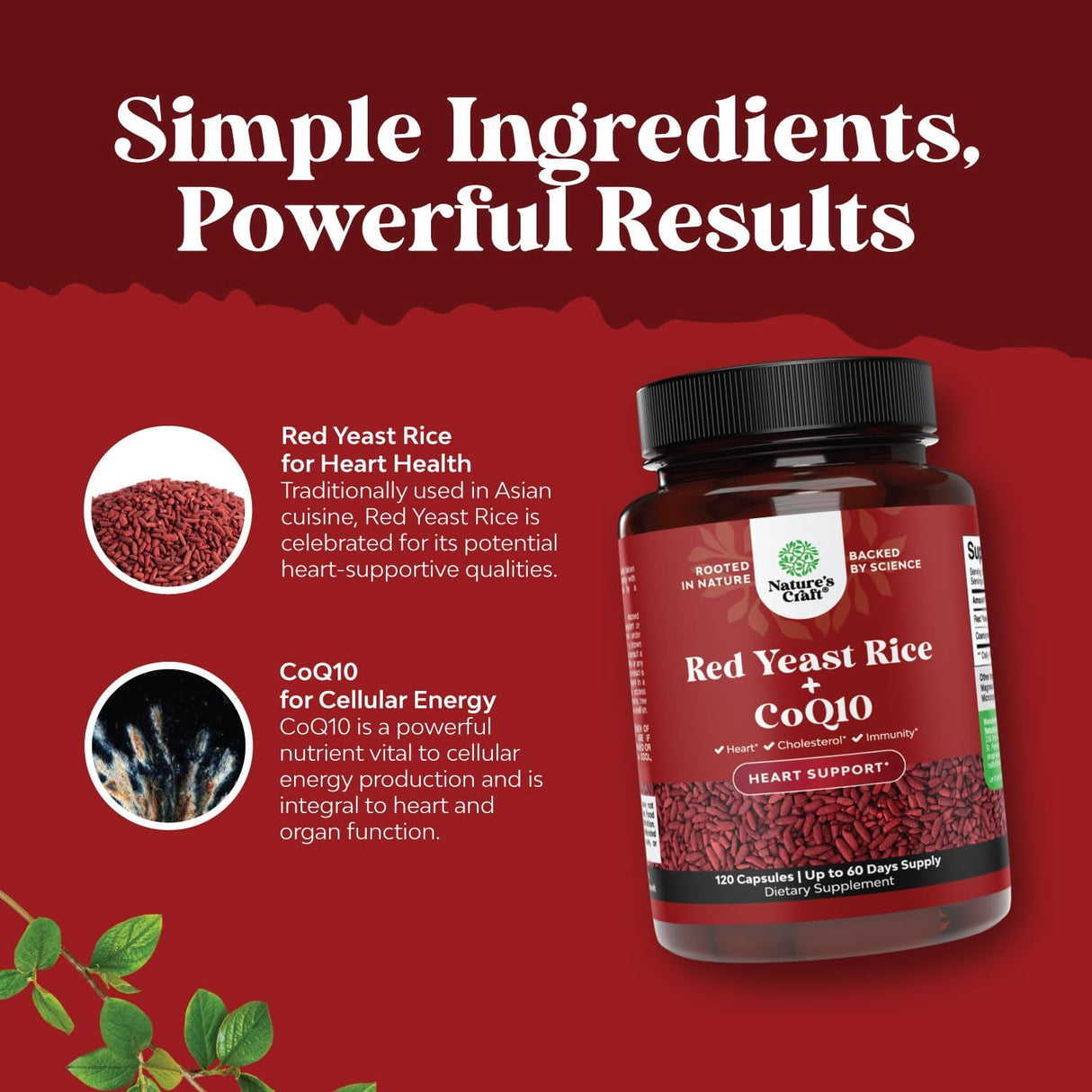 Suplemento Arroz de levadura roja con CoQ10 1200 mg 120u