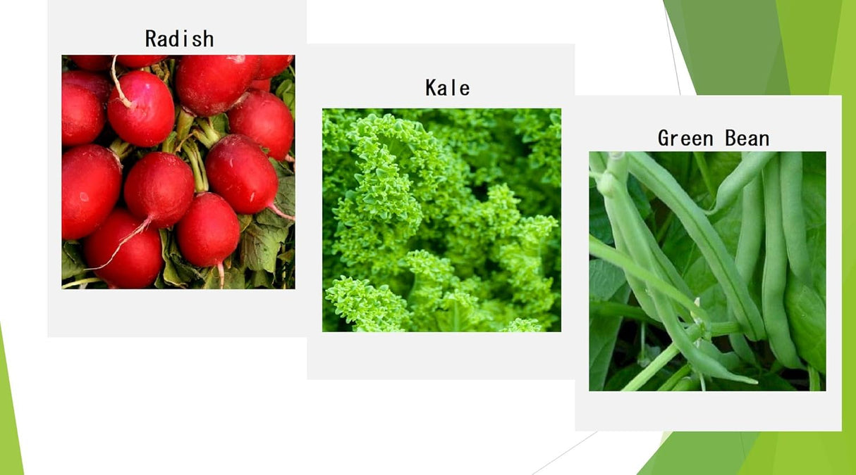 Semillas de Verduras de Invierno Orgánicas - 12 Variedades