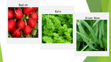 Semillas de Verduras de Invierno Orgánicas - 12 Variedades