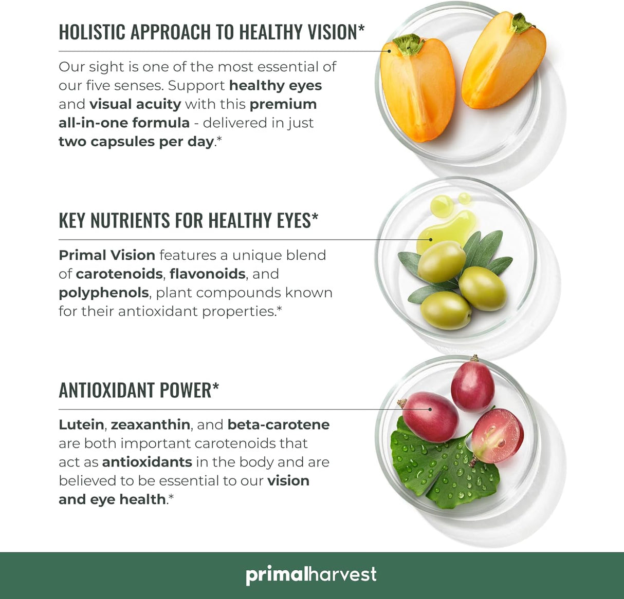 Suplemento Complejo de apoyo para la visión  vitamina E 60u