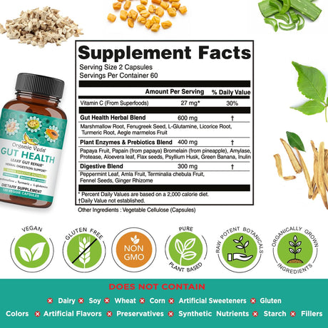 Suplemento para la Salud Intestinal con Enzimas y Prebióticos