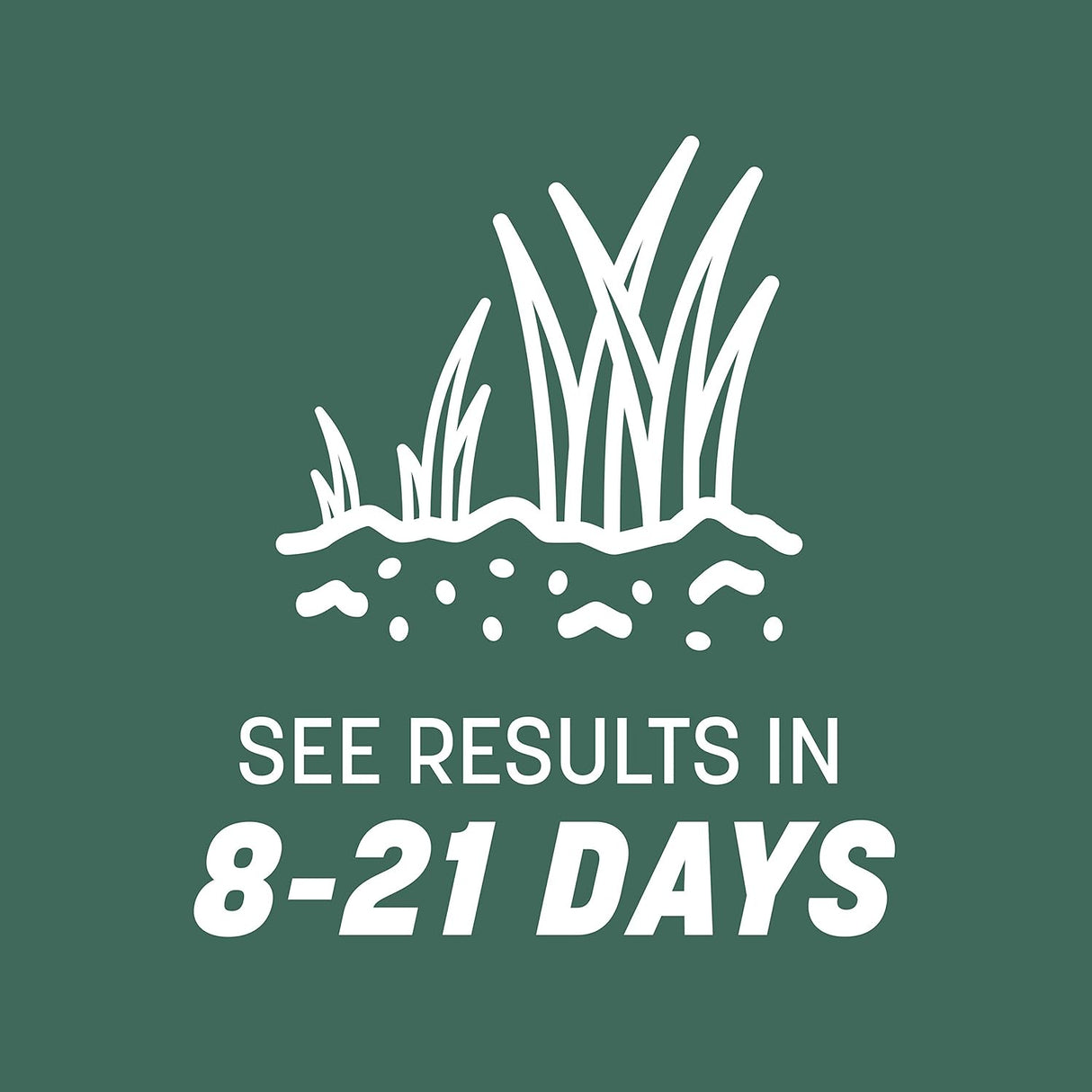 Semilla de Césped Tall Fescue Penkoted 3 lb Pennington Kentucky
