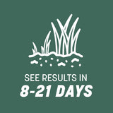 Semilla de Césped Tall Fescue Penkoted 3 lb Pennington Kentucky