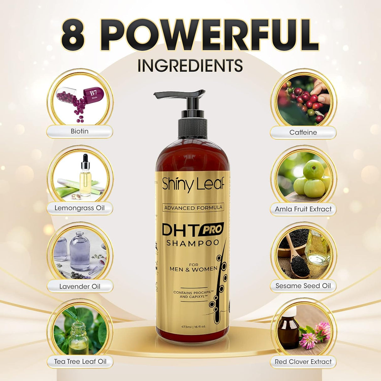 Shampoos y Acondicionadores revitaliza el cuero cabelludo
