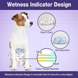 Pet Soft Pañales desechables para perras –  20 pañales