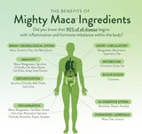 Mighty Maca Plus - Superfoods Maca Verde Orgánico, Detox, Vegan