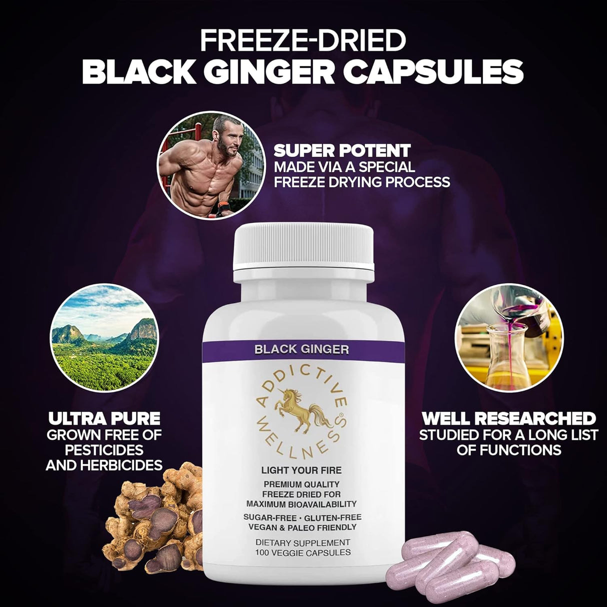 Suplemento Wellness Jengibre negro tailandés liofilizado