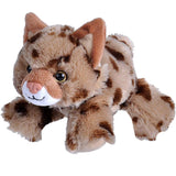 Peluche de gato montés,colección Hug’Ems, 7 pulgadas