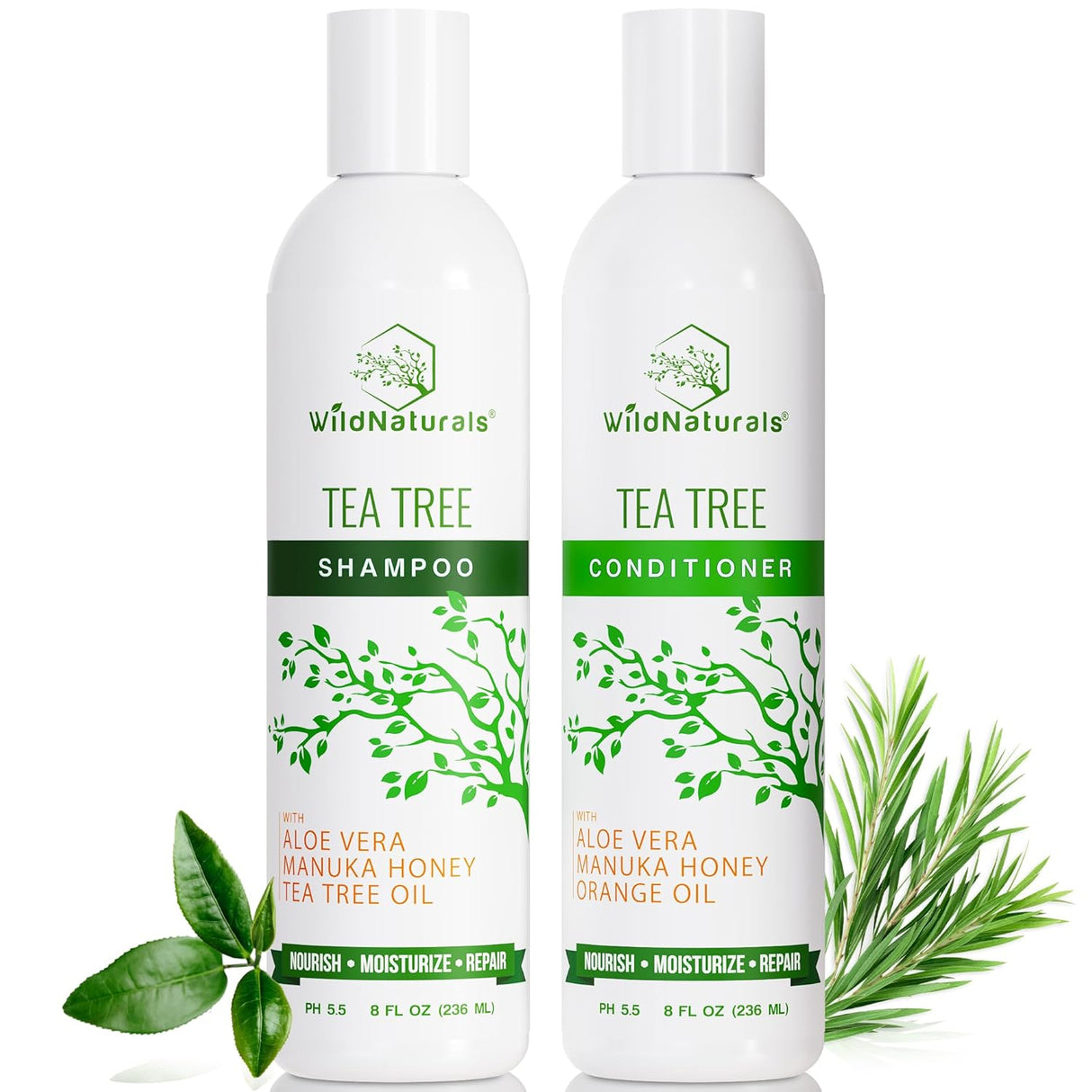Juego de champú y acondicionador de aceite de árbol