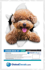 Stickers 3D para perro - Winston & Bear - Pack de 2 - Poodle