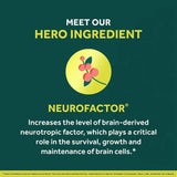 Neuriva Gomitas de cerebro + energía suplemento cerebral 75u