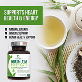 Suplemento Extracto de té verde 98% EGCG estandarizado 240u