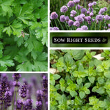 Colección de Semillas de Hierbas - Sow Right Seeds - No GMO