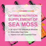 Sea Moss Líquido Orgánico - Potenciador de Salud Vegano 6X