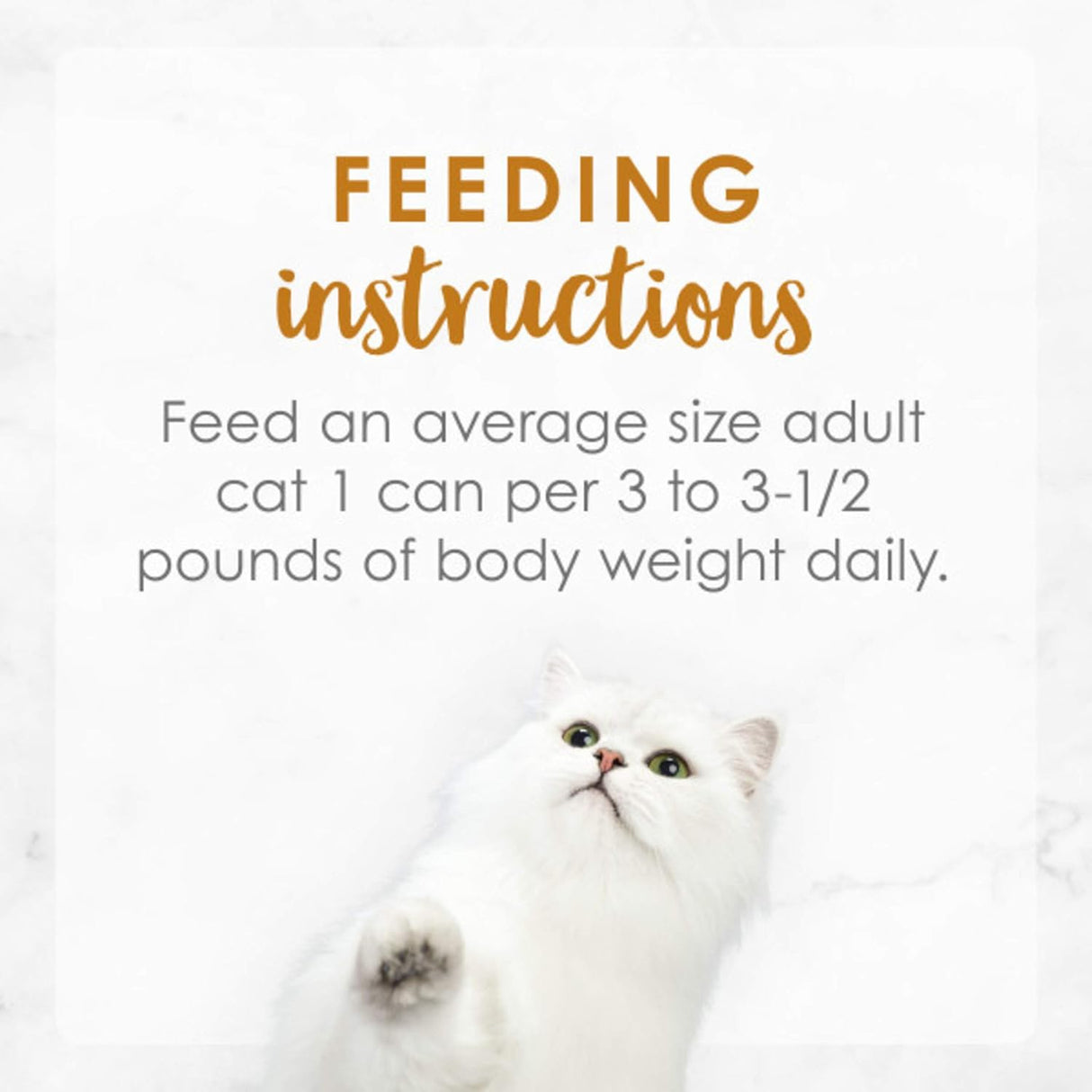 Alimento húmedo para gatos enlatado para adultos 24 latas