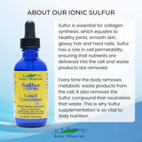 Suplemento Ionic Minerals Concentrado líquido de azufre 2 oz