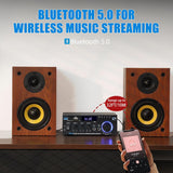 Amplificador Estéreo Bluetooth 5.0, 300W, 2.0 Canal, AK45