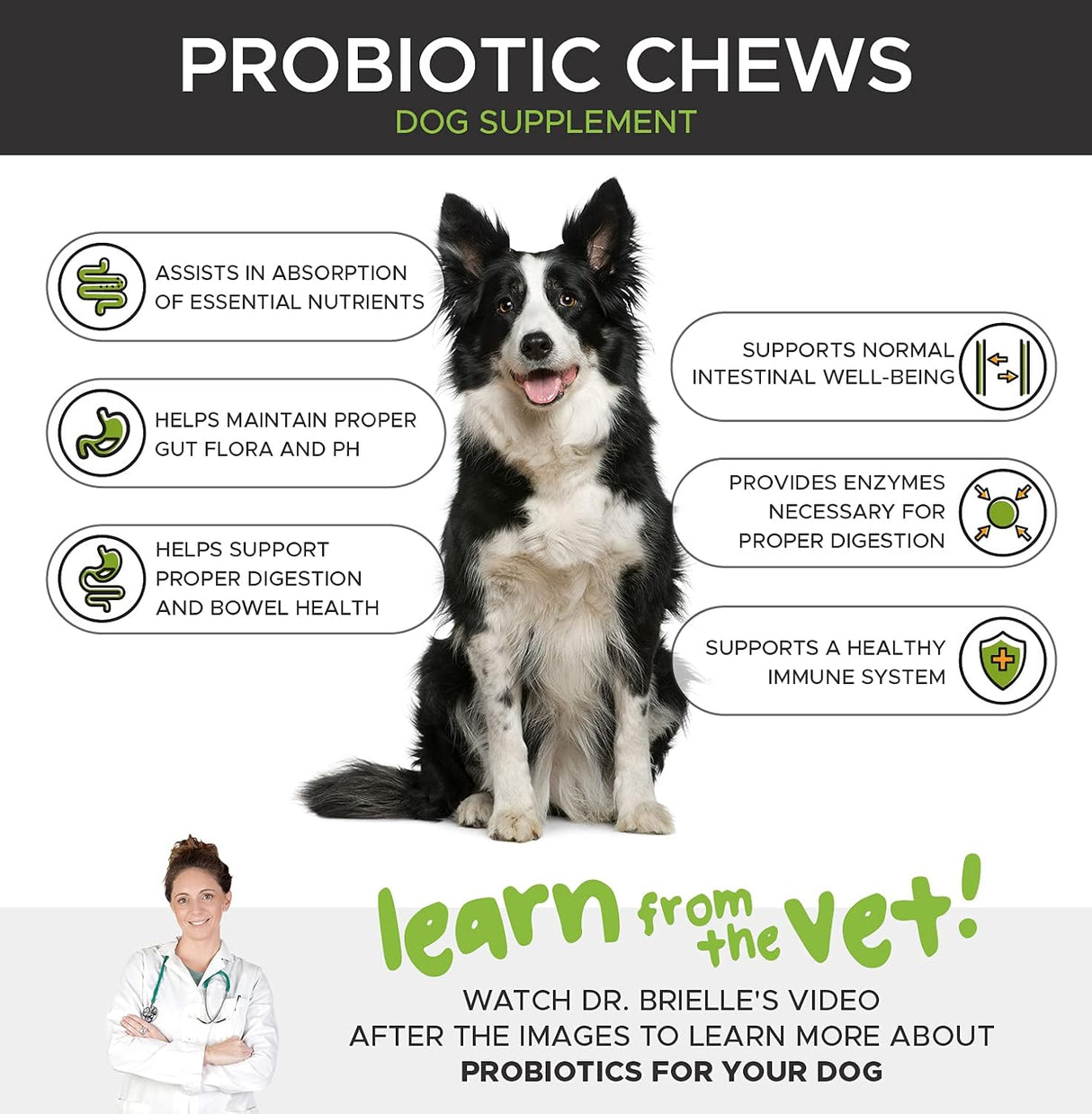 Vitaminas Probióticos para perros avanzados