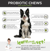 Vitaminas Probióticos para perros avanzados